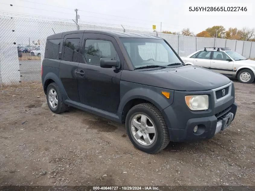 2005 Honda Element Ex VIN: 5J6YH28665L022746 Lot: 40646727