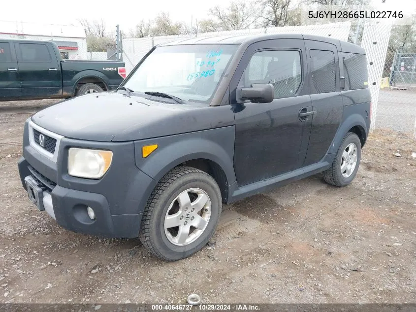 2005 Honda Element Ex VIN: 5J6YH28665L022746 Lot: 40646727