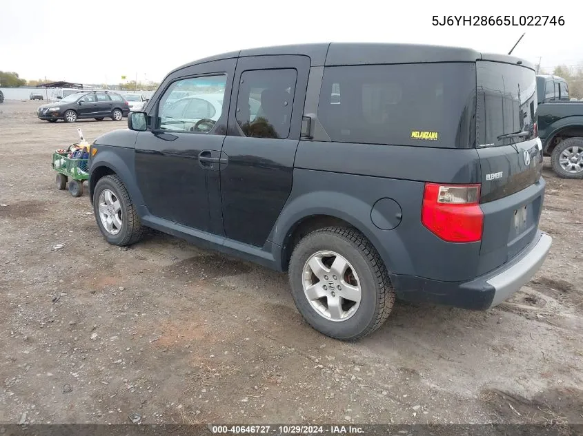 2005 Honda Element Ex VIN: 5J6YH28665L022746 Lot: 40646727