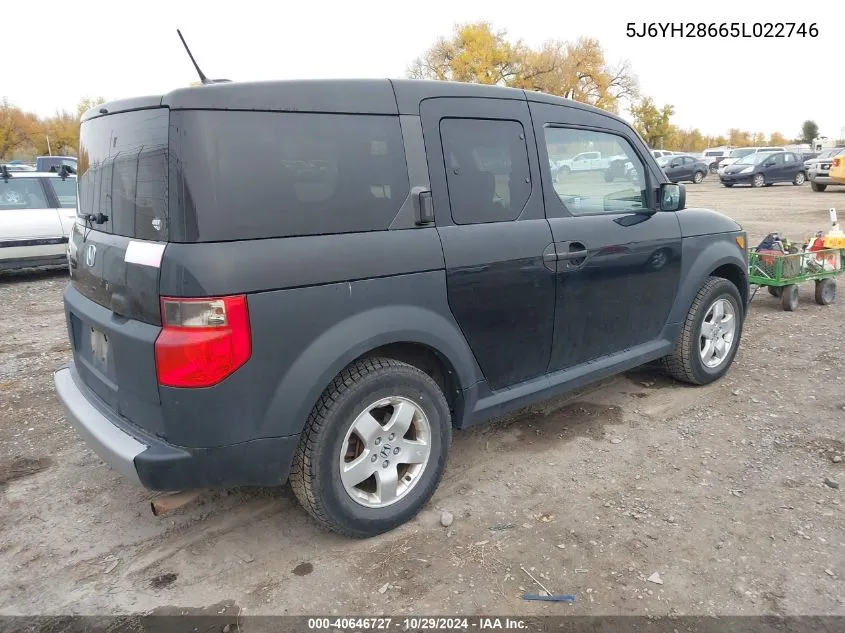 2005 Honda Element Ex VIN: 5J6YH28665L022746 Lot: 40646727