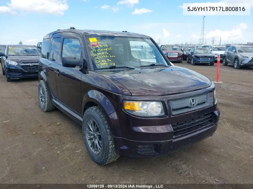 2007 Honda Element VIN: 5J6YH17917L800816 Lot: 12099129