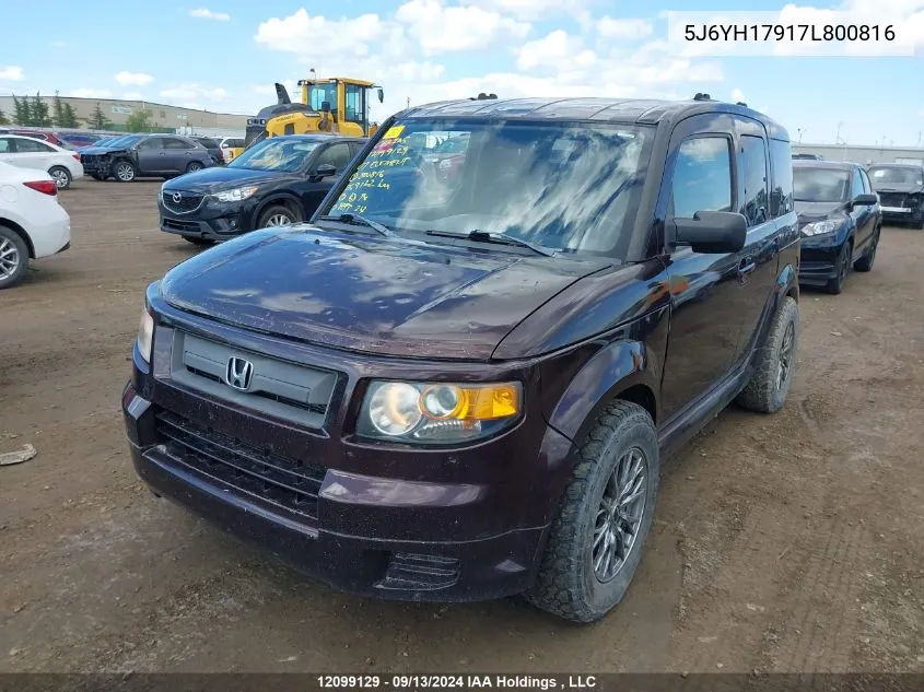 2007 Honda Element VIN: 5J6YH17917L800816 Lot: 12099129