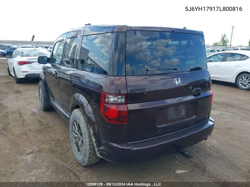 2007 Honda Element VIN: 5J6YH17917L800816 Lot: 12099129