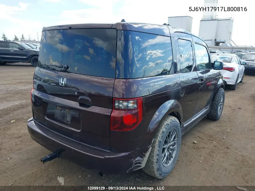 2007 Honda Element VIN: 5J6YH17917L800816 Lot: 12099129