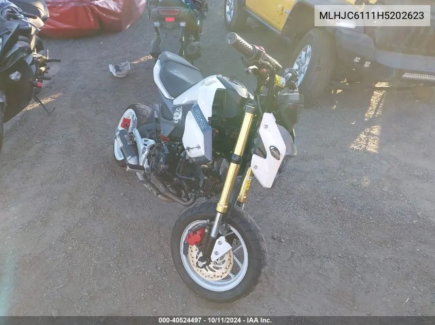 2017 Honda Grom 125 VIN: MLHJC6111H5202623 Lot: 40524497