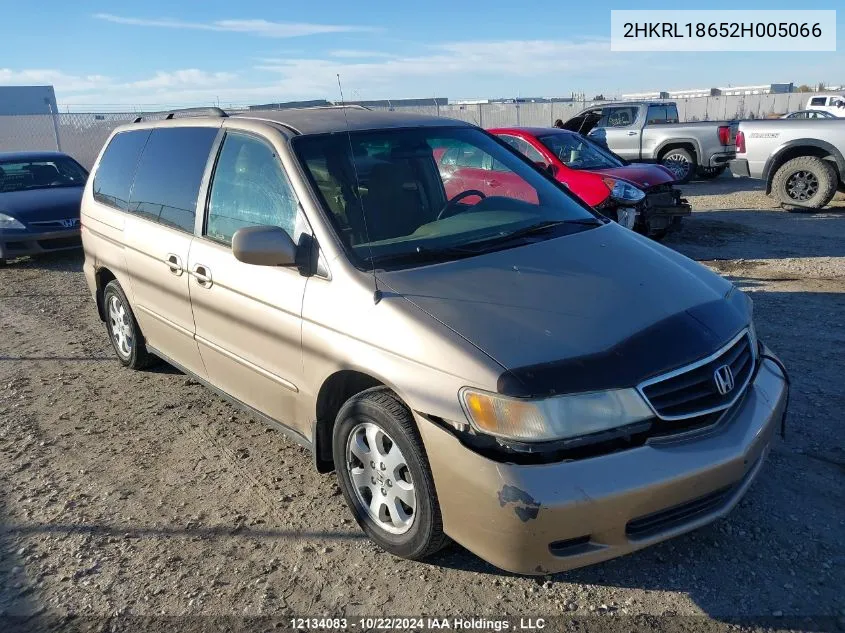 2002 Honda Odyssey VIN: 2HKRL18652H005066 Lot: 12134083