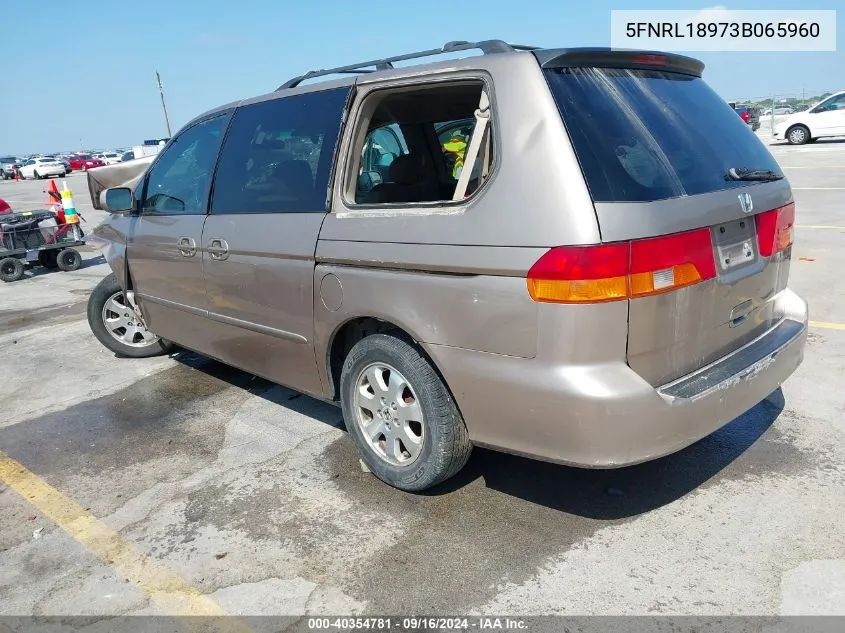 2003 Honda Odyssey Ex-L VIN: 5FNRL18973B065960 Lot: 40354781