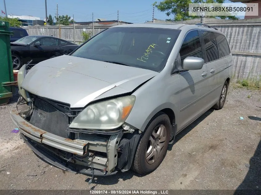 2005 Honda Odyssey Touring VIN: 5FNRL388X5B508091 Lot: 12069174