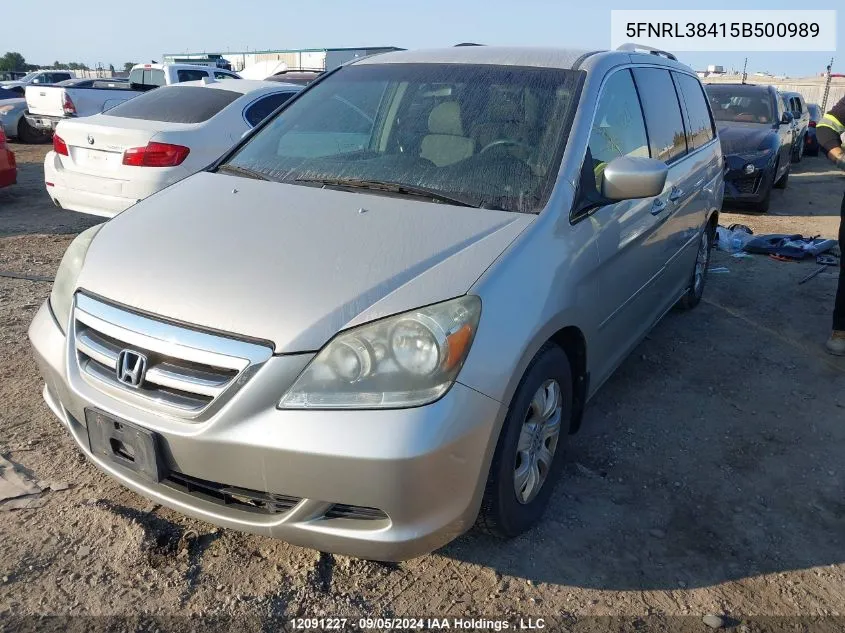 2005 Honda Odyssey VIN: 5FNRL38415B500989 Lot: 12091227