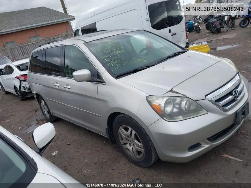 2005 Honda Odyssey VIN: 5FNRL38785B508243 Lot: 12146078