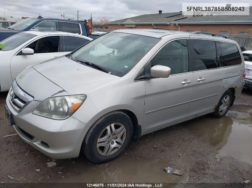 2005 Honda Odyssey VIN: 5FNRL38785B508243 Lot: 12146078