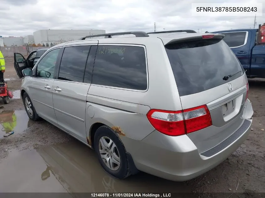 2005 Honda Odyssey VIN: 5FNRL38785B508243 Lot: 12146078