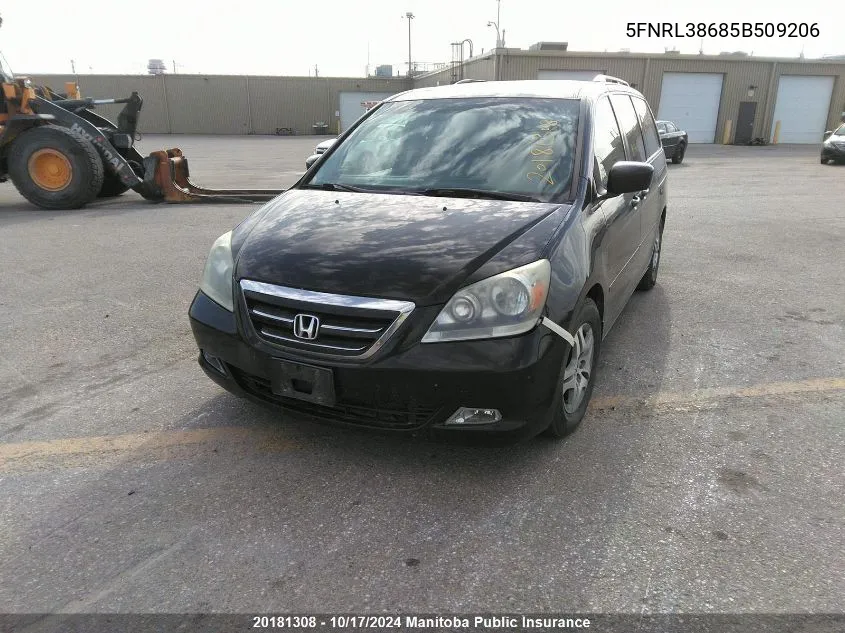 2005 Honda Odyssey Ex-L VIN: 5FNRL38685B509206 Lot: 20181308