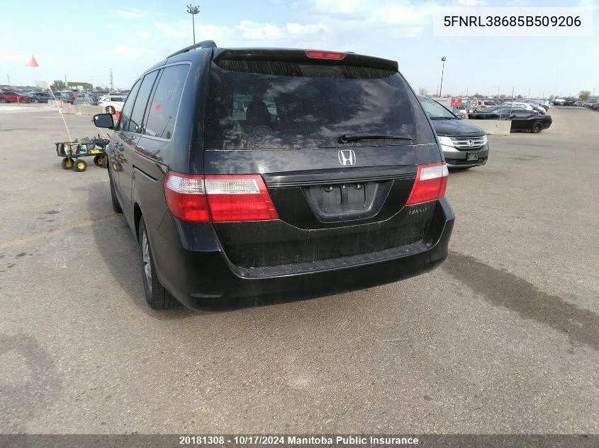 2005 Honda Odyssey Ex-L VIN: 5FNRL38685B509206 Lot: 20181308