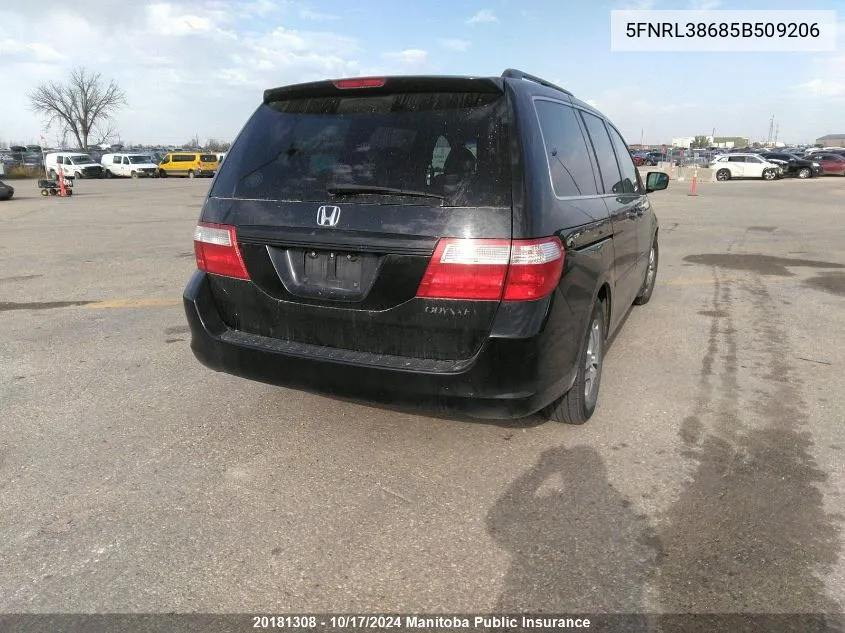 2005 Honda Odyssey Ex-L VIN: 5FNRL38685B509206 Lot: 20181308