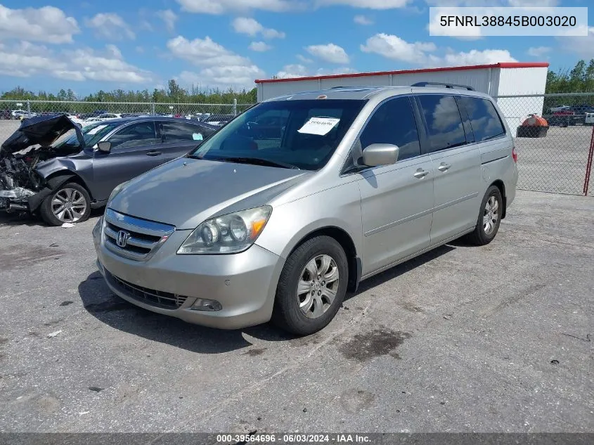 2005 Honda Odyssey Touring VIN: 5FNRL38845B003020 Lot: 39564696