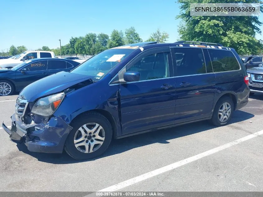 2005 Honda Odyssey Ex-L VIN: 5FNRL38655B063659 Lot: 39762878