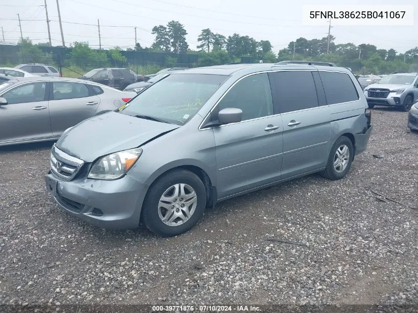 2005 Honda Odyssey Ex-L VIN: 5FNRL38625B041067 Lot: 40519464