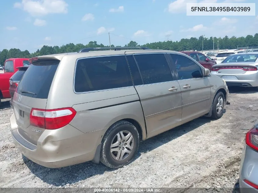 2005 Honda Odyssey Ex VIN: 5FNRL38495B403989 Lot: 40036142