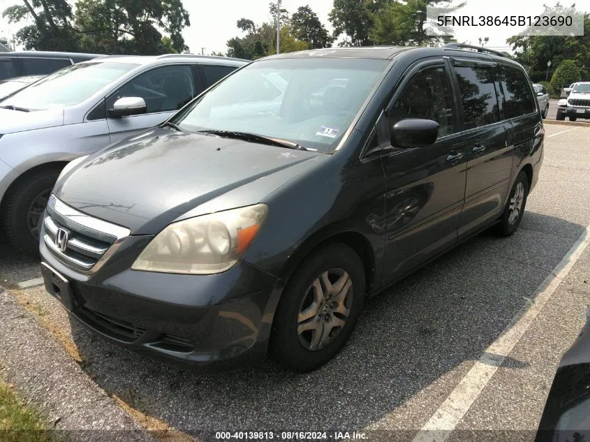 2005 Honda Odyssey Ex-L VIN: 5FNRL38645B123690 Lot: 40139813