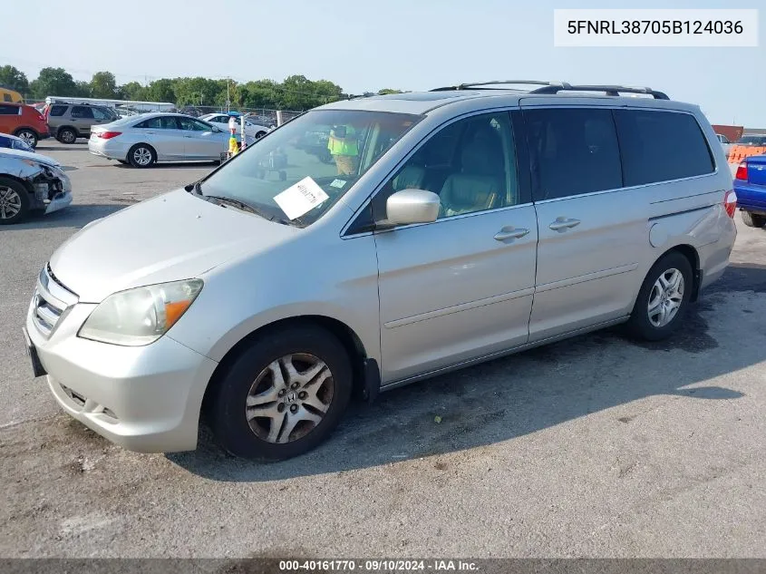 2005 Honda Odyssey Ex-L VIN: 5FNRL38705B124036 Lot: 40161770