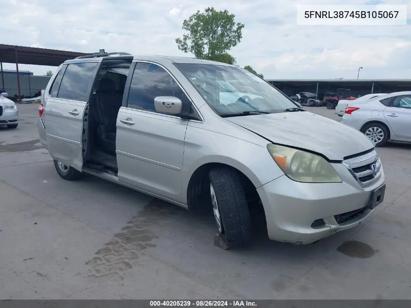 2005 Honda Odyssey Ex-L VIN: 5FNRL38745B105067 Lot: 40205239