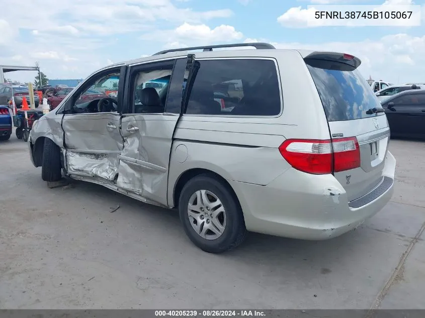 2005 Honda Odyssey Ex-L VIN: 5FNRL38745B105067 Lot: 40205239