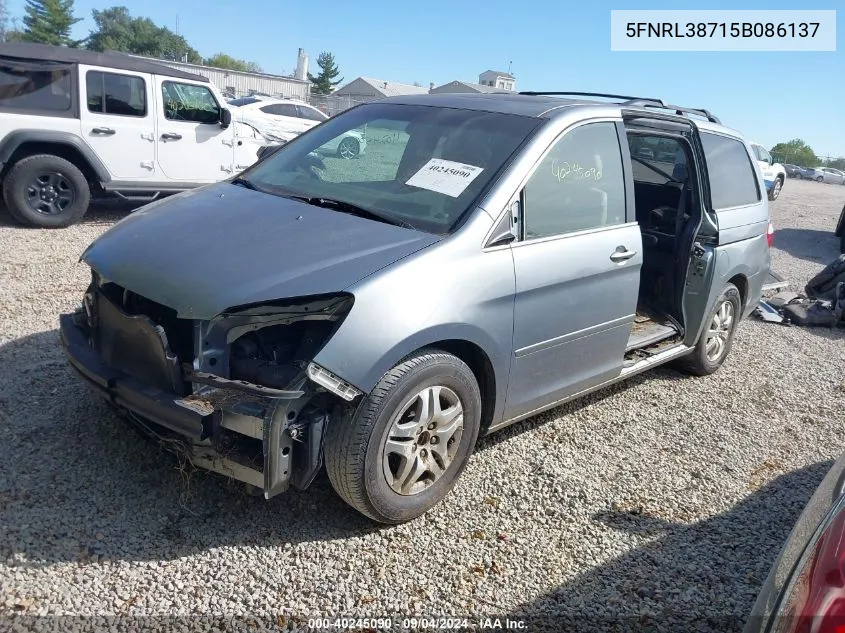 2005 Honda Odyssey Ex-L VIN: 5FNRL38715B086137 Lot: 40245090