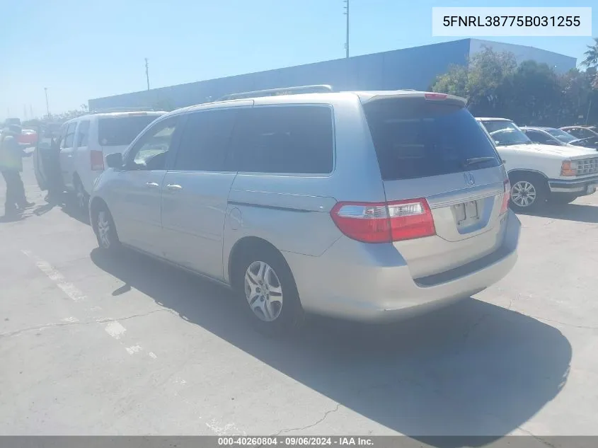 2005 Honda Odyssey Ex-L VIN: 5FNRL38775B031255 Lot: 40260804