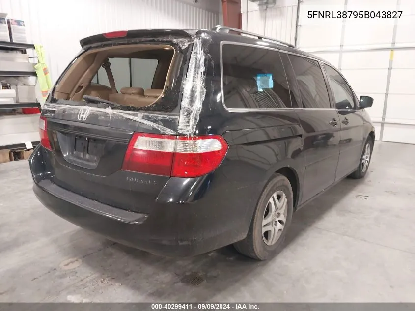 2005 Honda Odyssey Ex-L VIN: 5FNRL38795B043827 Lot: 40299411