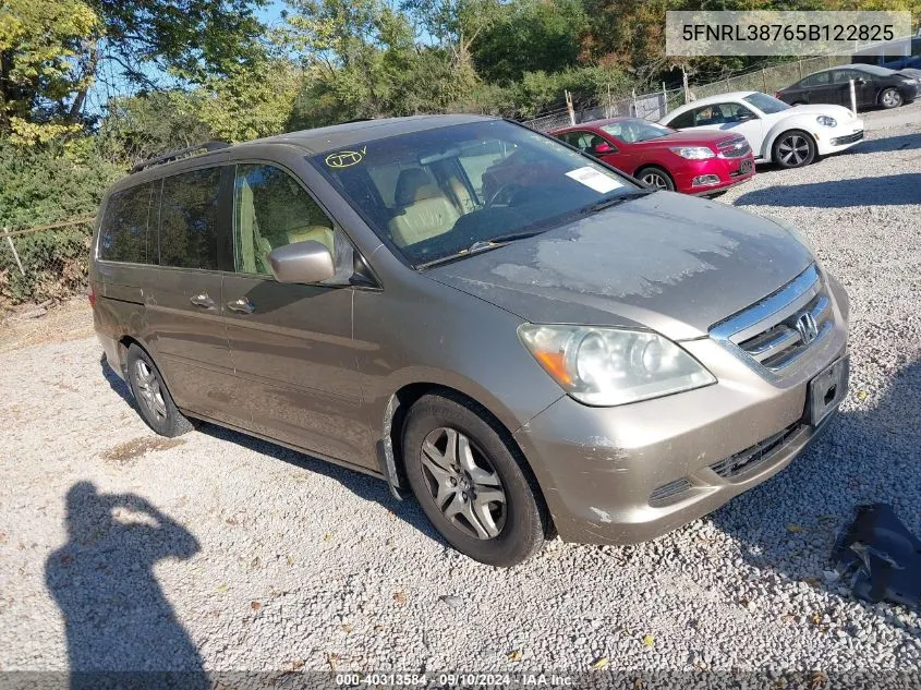 2005 Honda Odyssey Ex-L VIN: 5FNRL38765B122825 Lot: 40313584