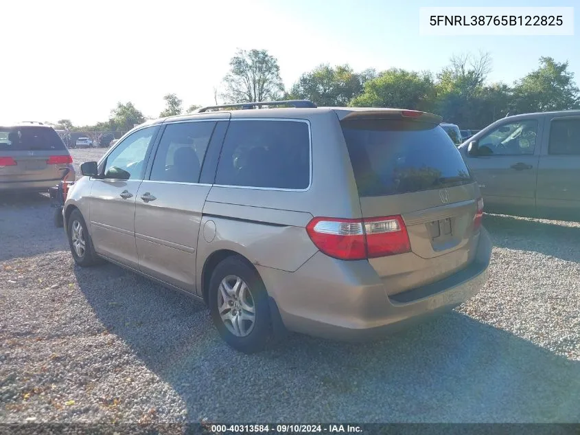 2005 Honda Odyssey Ex-L VIN: 5FNRL38765B122825 Lot: 40313584