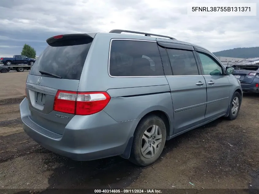 2005 Honda Odyssey Ex-L VIN: 5FNRL38755B131371 Lot: 40314605