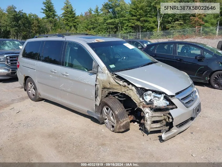 2005 Honda Odyssey Ex-L VIN: 5FNRL387X5B022646 Lot: 40321919