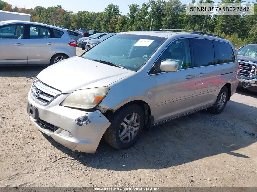 2005 Honda Odyssey Ex-L VIN: 5FNRL387X5B022646 Lot: 40321919