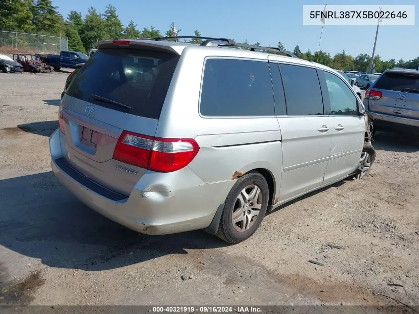 2005 Honda Odyssey Ex-L VIN: 5FNRL387X5B022646 Lot: 40321919