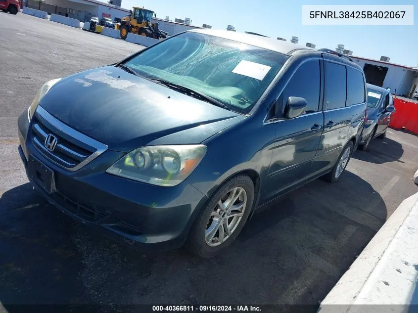 2005 Honda Odyssey Ex VIN: 5FNRL38425B402067 Lot: 40366811