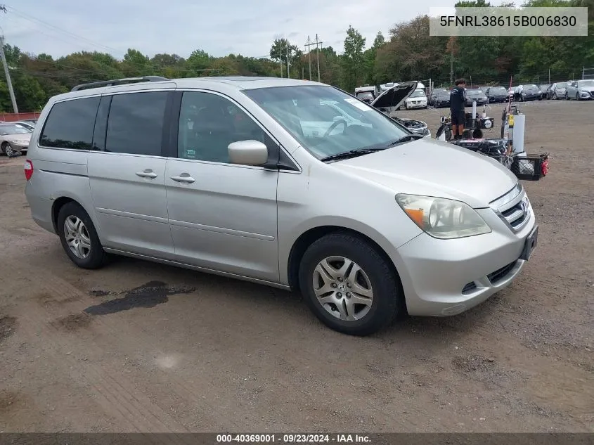 2005 Honda Odyssey Ex-L VIN: 5FNRL38615B006830 Lot: 40369001