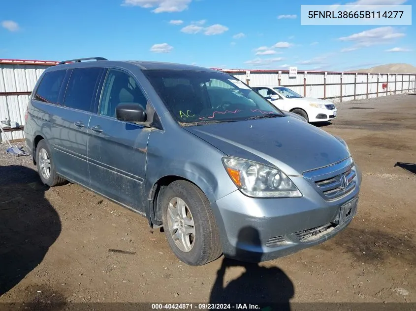 2005 Honda Odyssey Ex-L VIN: 5FNRL38665B114277 Lot: 40424871