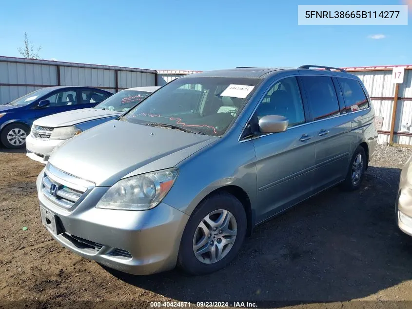 2005 Honda Odyssey Ex-L VIN: 5FNRL38665B114277 Lot: 40424871