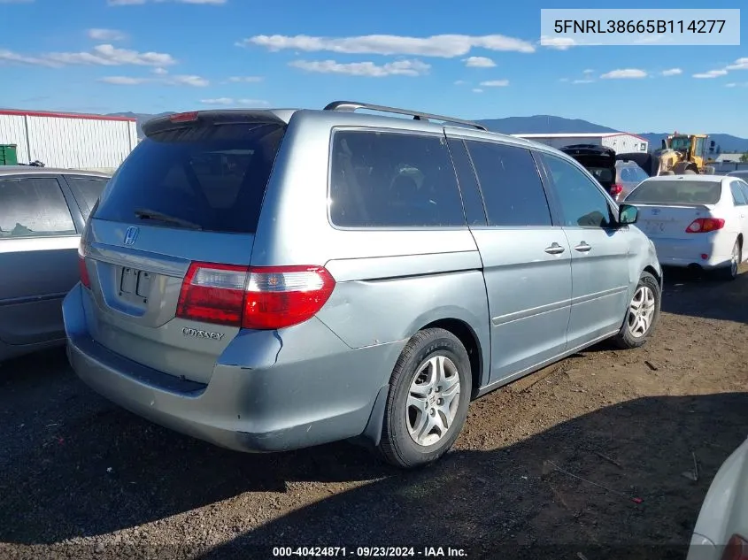 2005 Honda Odyssey Ex-L VIN: 5FNRL38665B114277 Lot: 40424871