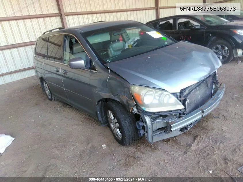 2005 Honda Odyssey Ex-L VIN: 5FNRL38775B063073 Lot: 40440455