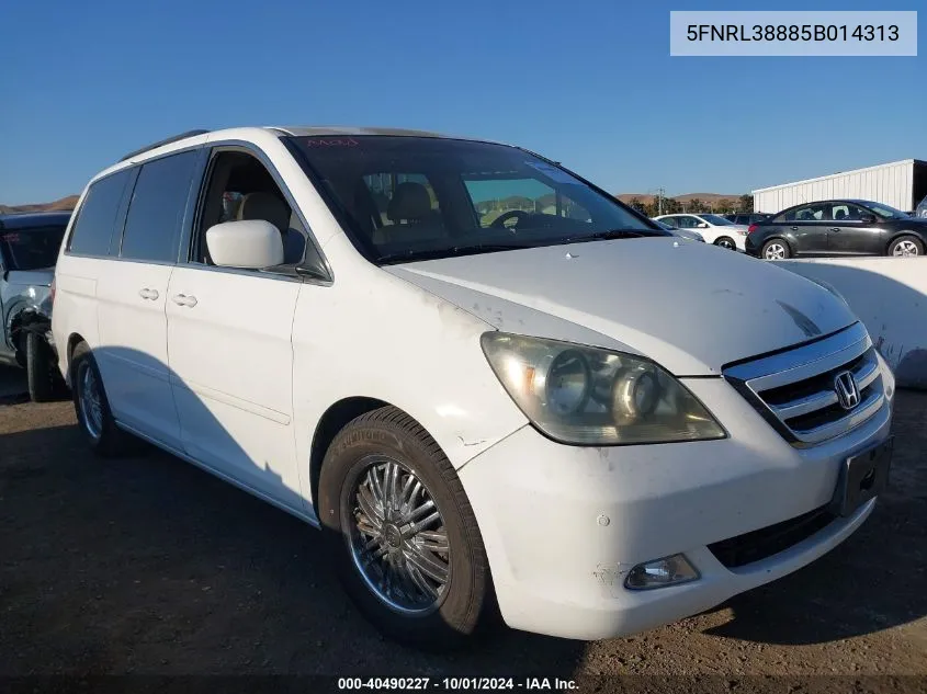 2005 Honda Odyssey Touring VIN: 5FNRL38885B014313 Lot: 40490227