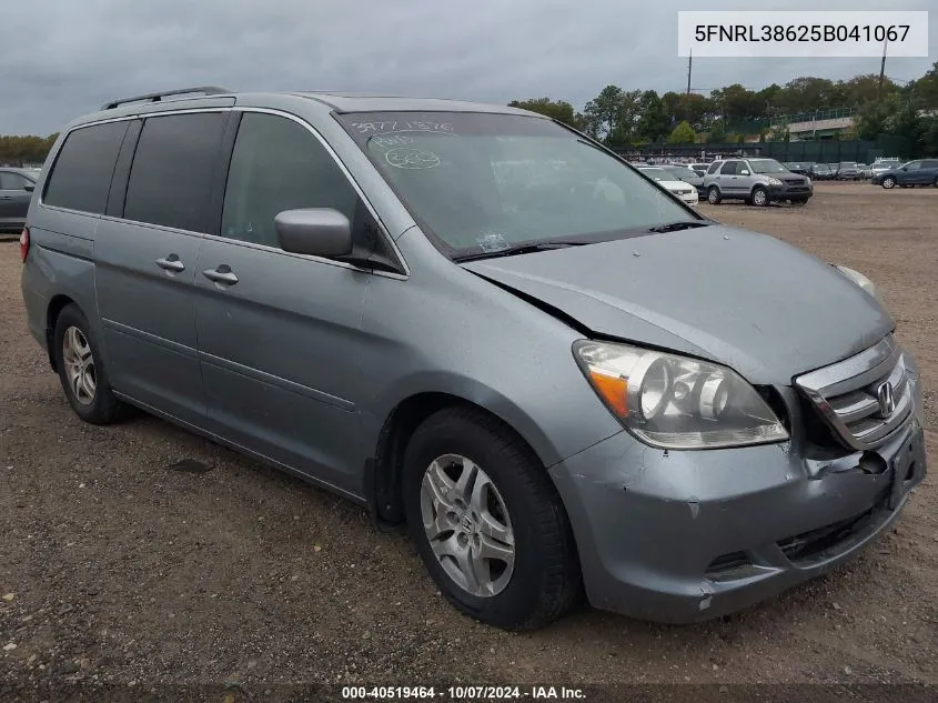 2005 Honda Odyssey Ex-L VIN: 5FNRL38625B041067 Lot: 40519464