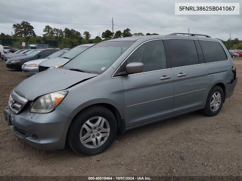 2005 Honda Odyssey Ex-L VIN: 5FNRL38625B041067 Lot: 40519464