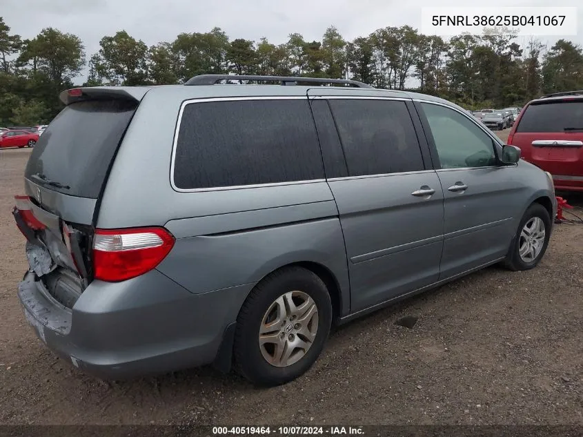 2005 Honda Odyssey Ex-L VIN: 5FNRL38625B041067 Lot: 40519464