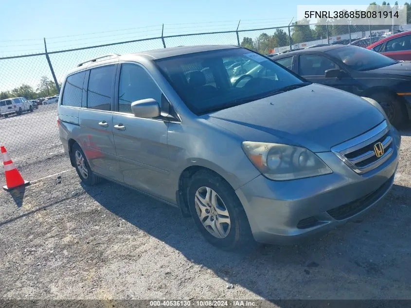 2005 Honda Odyssey Ex-L VIN: 5FNRL38685B081914 Lot: 40536130