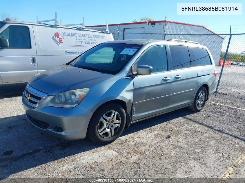 2005 Honda Odyssey Ex-L VIN: 5FNRL38685B081914 Lot: 40536130