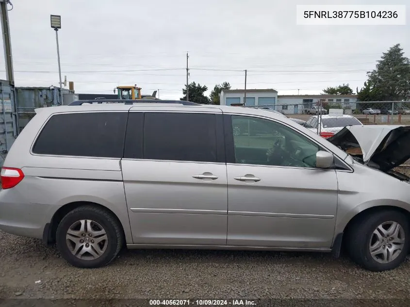 2005 Honda Odyssey Exl VIN: 5FNRL38775B104236 Lot: 40562071