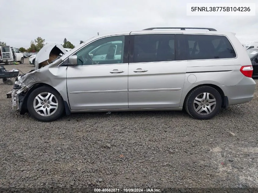 2005 Honda Odyssey Exl VIN: 5FNRL38775B104236 Lot: 40562071